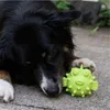 PROCYON TPR Snackball Fisch Produktbild-Vorschau 1