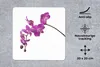 MuchoWow® Mauspad Mousepad Orchidee vor weißem Hintergrund Produktbild-Vorschau 2