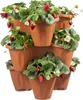 A tiered planter filled with strawberry plants, showing ripe strawberries and white flowers. Anteprima dell’immagine prodotto