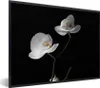 MuchoWow® Gerahmtes Poster Orchidee - Blumen - Schwarz - Produktbild-Vorschau 1