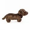 Kuscheltier Hund Dackel 19 cm dunkelbraun Plüschhund Produktbild-Vorschau 3