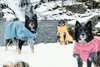 Hurtta Expedition Wintermantel blau, Größe: 30 / Produktbild-Vorschau 11