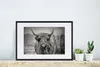 MuchoWow® Gerahmtes Poster Schottischer Highlander - Produktbild-Vorschau 4