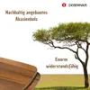 Zassenhaus ontbijtbord, set van 2, gemaakt van duurzaam Productafbeelding-voorbeeld 2