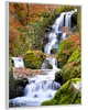Wallario Wandbild Bach im Wald, Größe: 40,30 x 50,30 cm, Produktbild-Vorschau 2