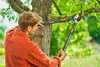 Gardena Gartenschere PremiumCut Frisches Holz Produktbild-Vorschau 12