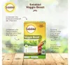 Solabiol Veggie Boost Pflanzenstärkungsmittel 250 ml Produktbild-Vorschau 9