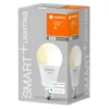 LEDVANCE 00217486, Intelligentes Leuchtmittel, WLAN, Produktbild-Vorschau 10