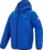 Regatta - "Hillpack" Jacke für Kinder, mit Kapuze RG12628 Produktbild-Vorschau 3