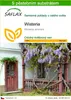 SAFLAX - Wisteria - Wisteria sinensis - 4 Semena - S Náhled obrázku produktu 1