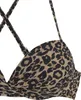 VIVANCE Push-Up-Bikini-Top Thora schwarz nougat bedruckt Produktbild-Vorschau 4