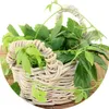 Jiaogulan / Gynostemma pentaphyllum / Kraut der Produktbild-Vorschau 1