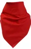 Bandana 100% Baumwolle 54x54 cm – Halstuch, Kopftuch, Produktbild-Vorschau 1