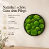 HAGO24 Moosbild Grün Kiefernholz Wandbild Mooswand Produktbild-Vorschau 3