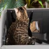Maison pour chat pouvant accueillir un panier ou une Voir les images du produit 6
