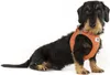 Curli Clasp Vest Pet Air-Mesh Special E. 2022 Ruby S Náhľad obrázku produktu 9