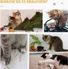 Fortuna Lai 2 kusy škrabací podložky Ochrana proti Náhled obrázku produktu 6