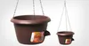 SIESTA selbstbewässernder Hängefrosch d25x16cm Produktbild-Vorschau 1