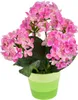 Hortenzie růžová 5 květů v keramickém květináči 33x27 cm Náhled obrázku produktu 1