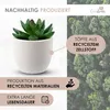 Künstliche Pflanzen Mini 4er Set Dekoration Kunstpflanzen Produktbild-Vorschau 6