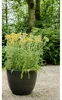 Artstone Pflanztopf Bola Ø38cm schwarz Ø 38 cm Produktbild-Vorschau 2
