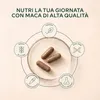 Capsule di maca Aavalabs | Giallo e nero | Vitalità e Anteprima dell’immagine prodotto 8