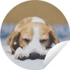 MuchoWow® Produktbild-Vorschau 1