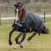BUCAS Anniversary Turnout Stay Dry 150g black/Silver Produktbild-Vorschau 7
