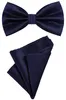 DonDon 2er Set Herren Fliege und Einstecktuch farblich Produktbild-Vorschau 1