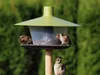 Plastia Vogelfutterhaus Finch 17cm Ø28cm grün, Hängend, Produktbild-Vorschau 15