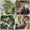 Bild auf Leinwand - Leinwandbild - 3 Teile - Tiger Produktbild-Vorschau 8