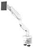 LC-Power LC-EQ-A49W, morsetto, 20 kg, 43,2 cm (17"), 124,5 Anteprima dell’immagine prodotto 2