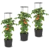 Set 3x Tomatenpflanze aus Kunststoff Pflanzkübel 18 L, Produktbild-Vorschau 1