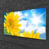 Acrylglasbilder 100x50 Wandbild Druck Blumen Pflanzen Produktbild-Vorschau 2