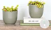 Bloomique - 2er Set - Dionaea Muscipula - Venusfliegenfalle Produktbild-Vorschau 2
