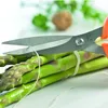 Mastrad ciseaux de cuisine, ciseaux de cuisinier, ciseaux Voir les images du produit 10