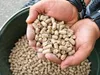 Granulat Pszenny 20 kg Pellet Paszowy dla Kur Drobiu Świń Podgląd zdjęcia produktu 3