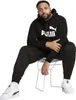 PUMA Essentials No1 Logo Hoodie TR Teenager Sweatshirt Produktbild-Vorschau 4