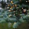 A close-up shot of warm white LED string lights wrapped around the branches of a green fir tree. Podgląd zdjęcia produktu