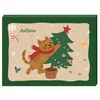 AniForte Adventskalender für Katzen 2025 - natürliche Produktbild-Vorschau 1