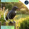 Realistische Vogelabwehr Krähe mit Sound: Produktbild-Vorschau 3