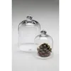 Glashaube, Abdeckung, Käseglocke Glas D. 10cm H. 14,5cm Produktbild-Vorschau 2