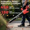 A person is holding a leaf blower outdoors, with leaves blowing around. Anteprima dell’immagine prodotto