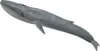 Balenottera azzurra - Collecta Anteprima dell’immagine prodotto 2