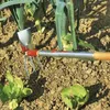 Wolf Garten Doppia zappa 8 cm Wolf Combisystem Multi-Star Anteprima dell’immagine prodotto 3