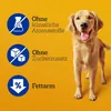 A golden retriever dog stands in front of a yellow background with three circular icons and text describing product features. Produktbild-Vorschau