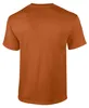 Gildan - T-Shirt für Herren/Damen Uni FK2634 (M) (Texas Produktbild-Vorschau 2