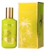 Pendora Oud Holidays unisex eau de parfum 100 ml Produktbild-Vorschau 3