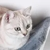 Pawhut PawHut lit pour chats, étagère pour chats, lit pour Voir les images du produit 8