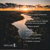 BOOS LABS Berberin I 500mg I 150 vegane Kapseln I Berberin Produktbild-Vorschau 3